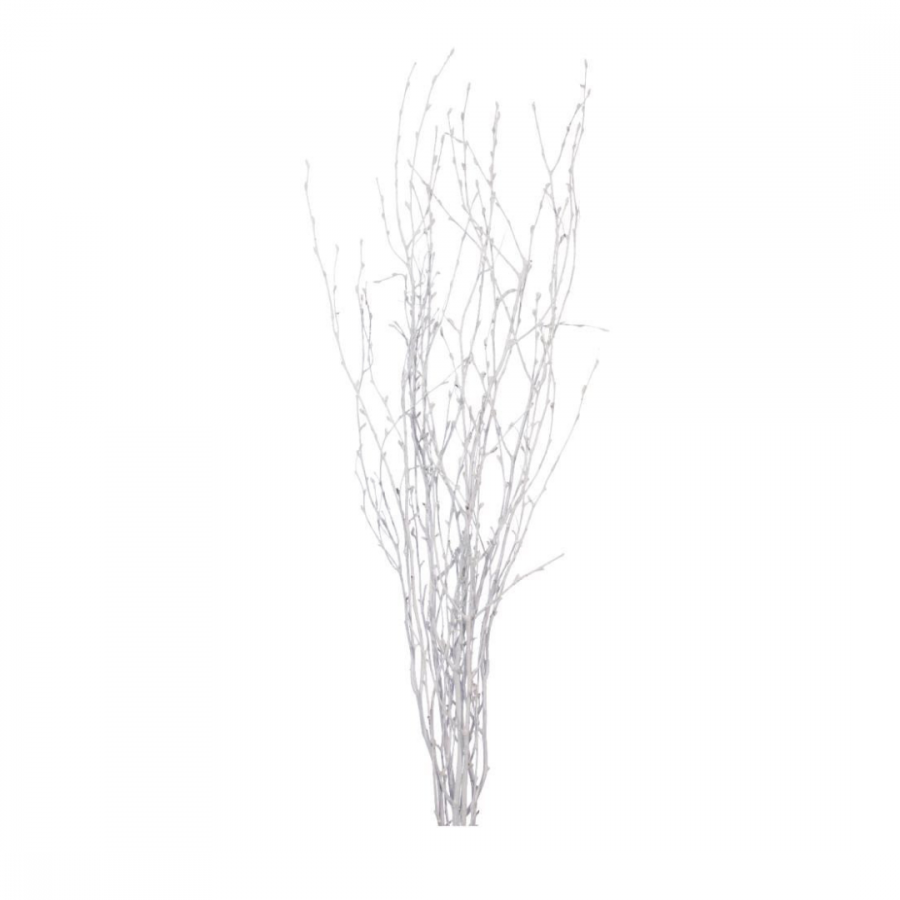 WHITE BRANCH image